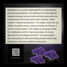 Load image into Gallery viewer, The Rainforest Whisper - Necklace - Amethyst