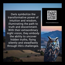 Load image into Gallery viewer, Midnight Wisdom Owl - Necklace - Earrings - Amethyst