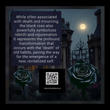 Load image into Gallery viewer, The Everlasting Promise - Black Obsidian - Rose