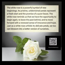 Load image into Gallery viewer, The Everlasting Promise - Clear Quartz