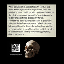 Load image into Gallery viewer, The weaver of Truth - Skull - Bracelet