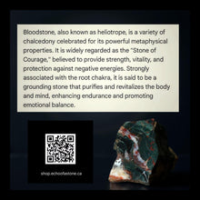 Load image into Gallery viewer, Echo of Courage - Bloodstone - Necklace