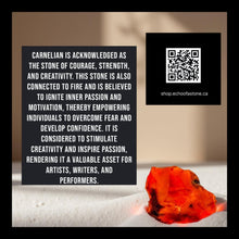 Load image into Gallery viewer, Echo of Courage Carnelian - Jellyfish - Earrings