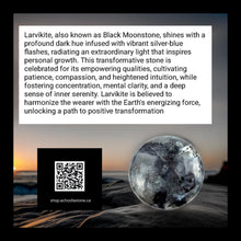 Load image into Gallery viewer, Mystic Mist - Jellyfish - Earrings - Black moonstone