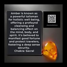 Load image into Gallery viewer, Ocean's Resilience - Jellyfish - Earrings -Amber