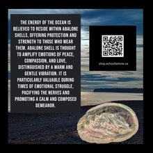 Load image into Gallery viewer, A Glimpse of the Pacific Octopus Sun - Catcher