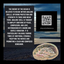 Load image into Gallery viewer, The Alchemist's Journey - Chakra - Meditation - Manifestation