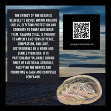 Load image into Gallery viewer, Tidal Whispers Abalone Jellyfish - Necklace