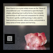 Load image into Gallery viewer, Rose Quartz Currents - Jellyfish - Earrings