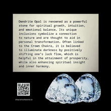 Load image into Gallery viewer, Winter's Breath - Ring - Dendrite Opal