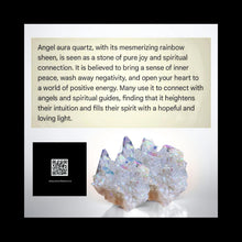 Load image into Gallery viewer, The Coastal Flow - Jellyfish - Earrings