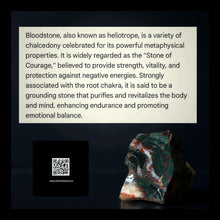 Load image into Gallery viewer, The Zest &amp; Zephyr Talisman- Necklace - Bloodstone &amp; Carnelian - Copper Wrapped