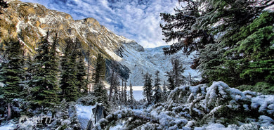 Winter Bliss-JMF77 PHOTOGRAPHY local pick up