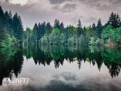 Reflection s -JMF77 PHOTOGRAPHY local pick up