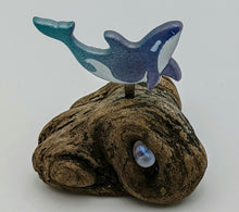 Load image into Gallery viewer, Baby orca on driftwood with Rainbow Moonstone