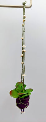 Hanging pots - Siren Sea Glass