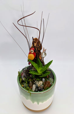 Parrot in succulent garden - Aya Heart Creations