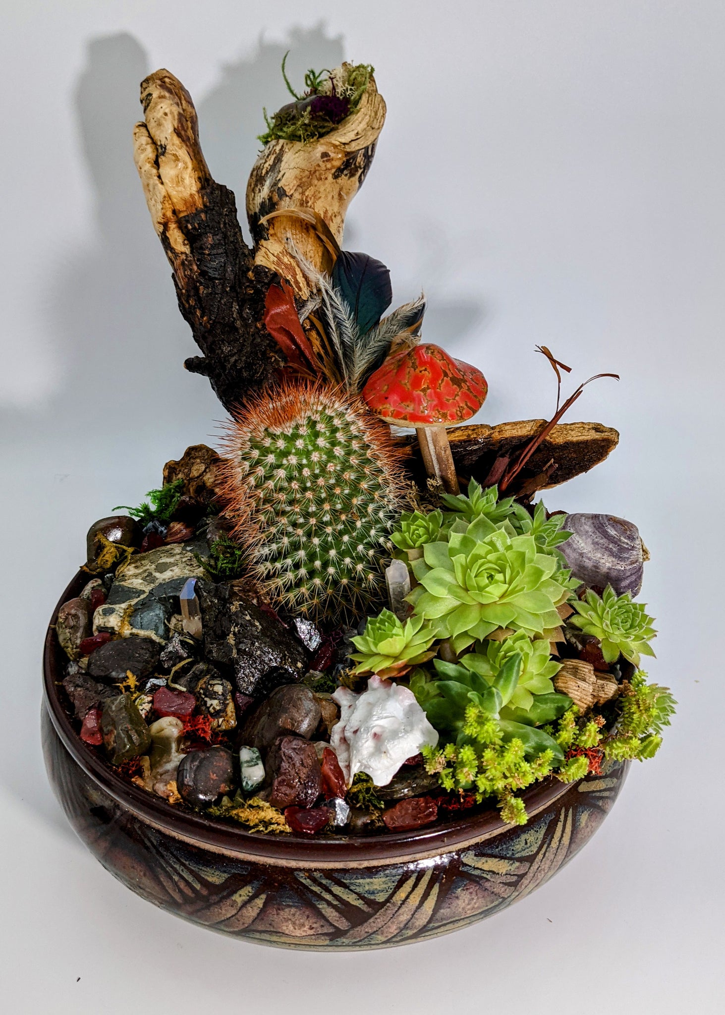 succulents vancouver Mixed succulent garden with Gemstones & Vancouver Island beach stone, – Echo of a Stone