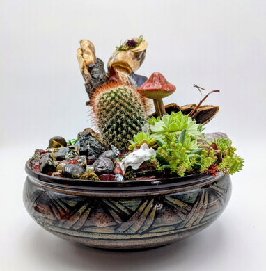 Mixed succulent garden with Gemstones & Vancouver Island beach stone, Garden -Aya Heart Creations