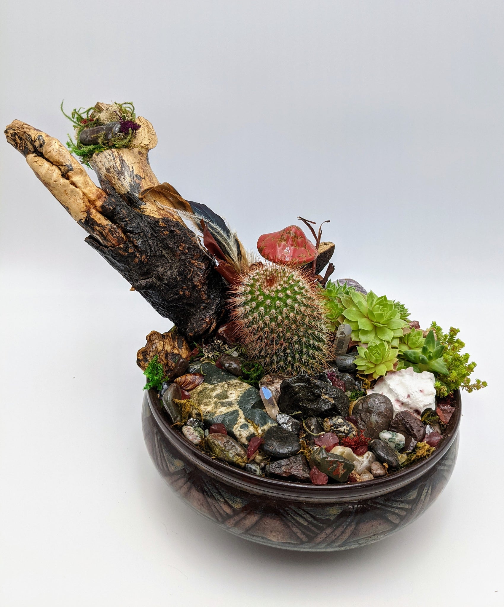 succulents in vancouver Mixed succulent garden with Gemstones & Vancouver Island beach stone, – Echo of a Stone