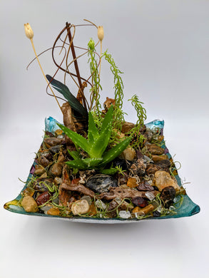 Squirrel in succulent garden - Aya Heart Creations