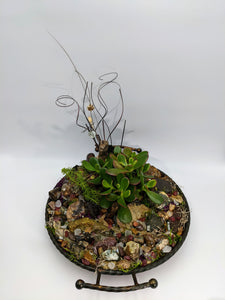 Hidden gemstone Jade succulent garden - Aya Heart Creations