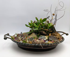 Hidden gemstone Jade succulent garden - Aya Heart Creations