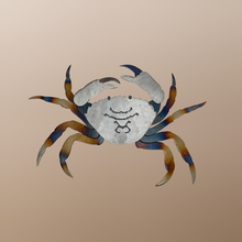 Load image into Gallery viewer, Steel,Crab