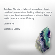 Load image into Gallery viewer, Octopus -Sun Catcher - Echo of a Stone