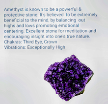 Load image into Gallery viewer, Amethyst Bear with bonsai style tree