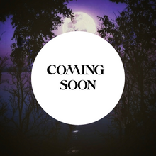 Load image into Gallery viewer, Nettle- Herb